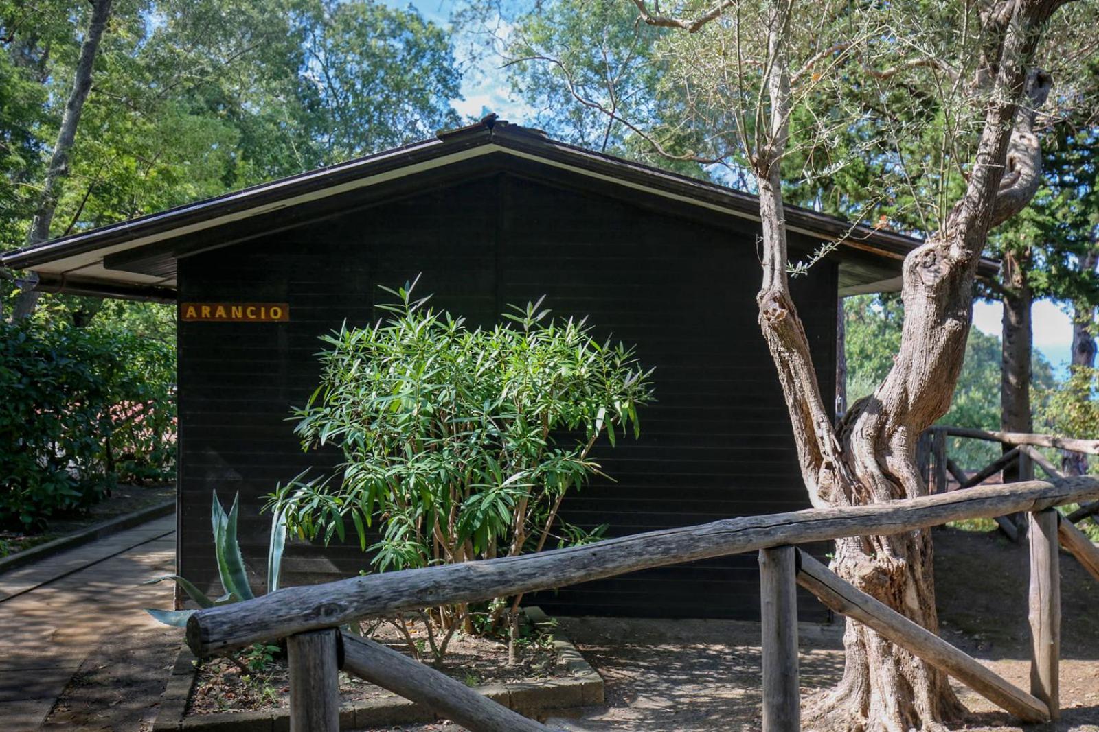 Village Camping Santa Fortunata - Campogaio ソレント エクステリア 写真